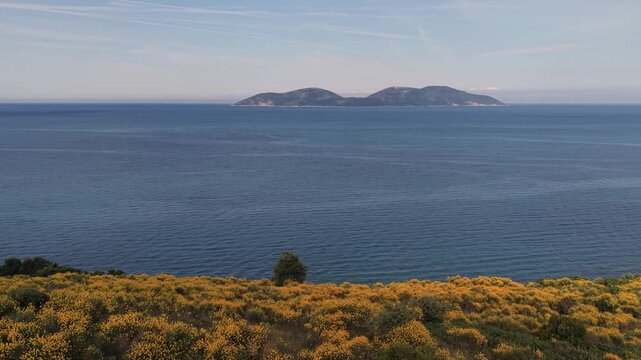Aerial view of Sazan Island on the horizon with yellow flowering bushes along the coastline and calm blue sea, Vlore, Vlore County, Albania.