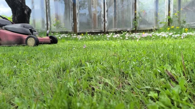 Gardener mowing the lawn. Landscape design. Green grass background