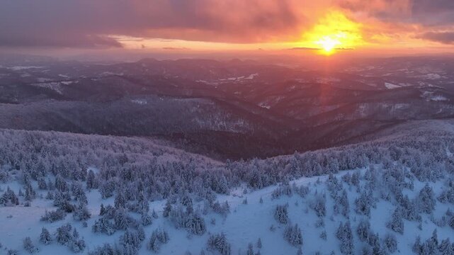 Aerial backward flight into red and yellow sunset haze over illuminated winter forest