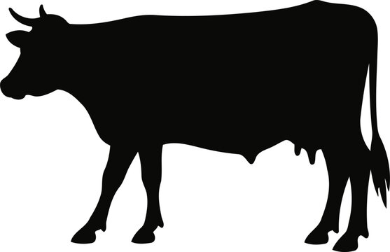 Black silhouette of a cow, isolated, side profile. Clean simple shape for logos, icons, agriculture branding and farm-related design projects.
