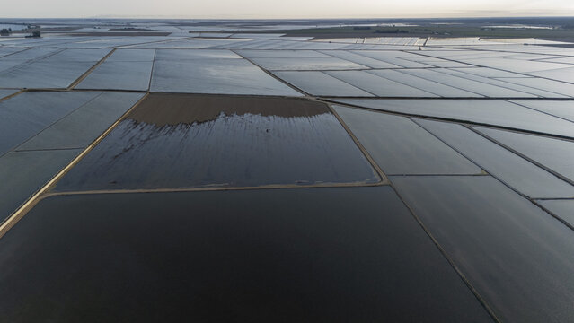 Aerial view of the flooded rice fields of Isla Minima with geometric patterns and water reflections in Sevilla, Andalucia, Spain.