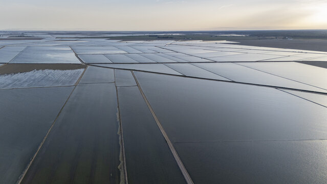 Aerial view of flooded rice fields at Isla Minima with geometric patterns and water reflections under a soft sky in Sevilla, Andalucia, Spain.