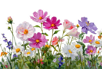 Obraz premium PNG Vibrant floral watercolor illustration