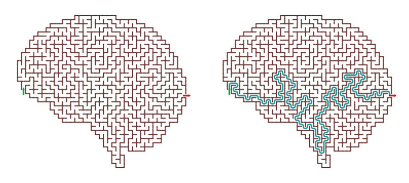 Brain-shaped maze puzzle with solution highlighted in blue  