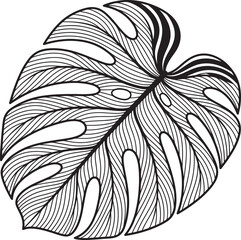 Hand Drawn Monstera Deliciosa Leaf Outline — Minimalist Floral Design Element © Mr sTuDiO