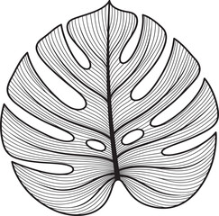 Tropical Monstera Leaf Line Art — Detailed Black and White Botanical Illustration © Mr sTuDiO