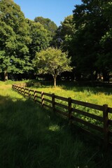 Fototapeta premium Wooden fence separates green meadow from dense forest. Sunlight illuminates tall grass field. A lone tree stands within a fenced enclosure. Peaceful nature scene, rural landscape.