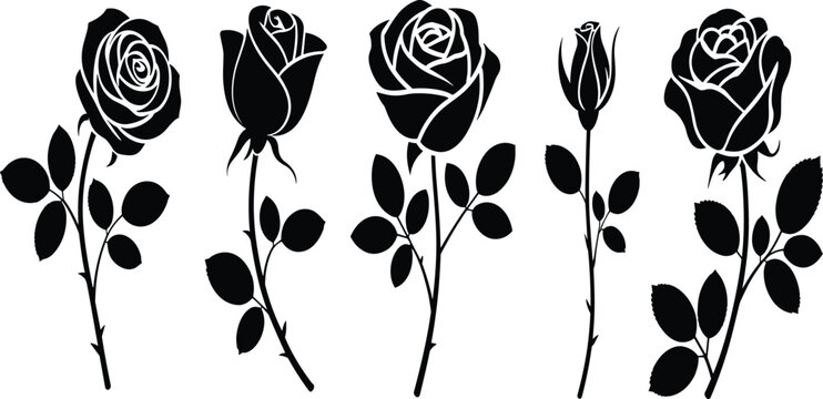 Roses, flowers, silhouette, vector, set, collection, black, nature, floral, isolated, white, background, design, illustration, element, icon, romance, beauty, rosebud, stem