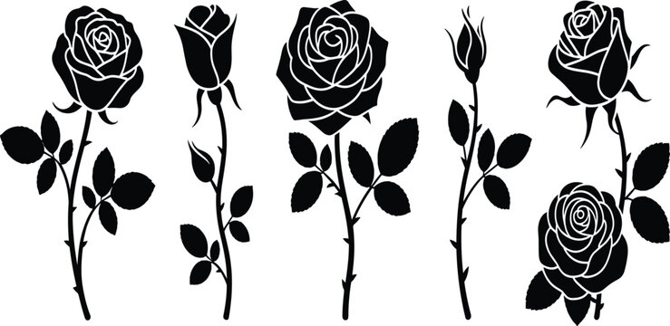 Roses, flowers, silhouette, vector, set, collection, black, nature, floral, isolated, white, background, design, illustration, element, icon, romance, beauty, rosebud, stem