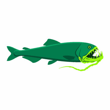 Green deep sea dragonfish illustration with sharp teeth and bioluminescent barbel.