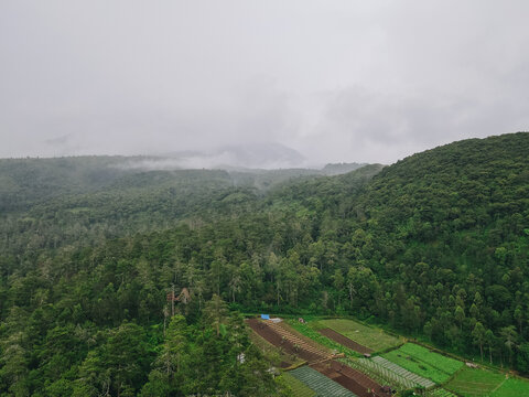 Aerial view of lush green forests and agricultural fields under misty mountains in Tawangmangu, Central Java, Indonesia.