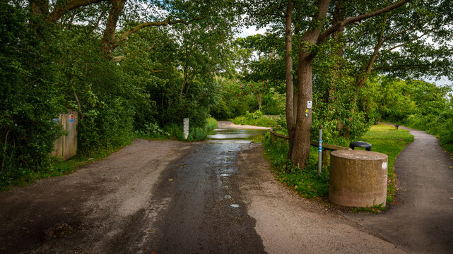 Country lane fork under trees after rain