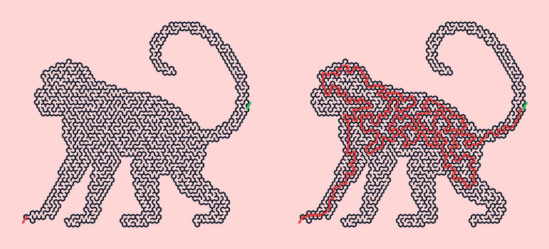 Abstract monkey outline and design on pink background  