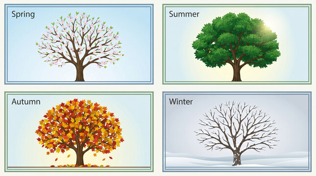 set of trees
