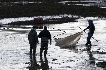 Pond fishing in the Dombes region in France © beatrice prève
