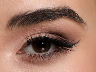 Obraz premium Young woman with beautiful makeup, closeup. Eye shadow product