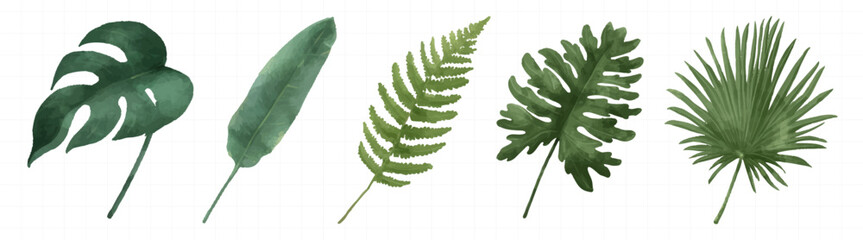 Vector set of tropical leaves and fern fronds in green, isolated on white © Rawpixel.com