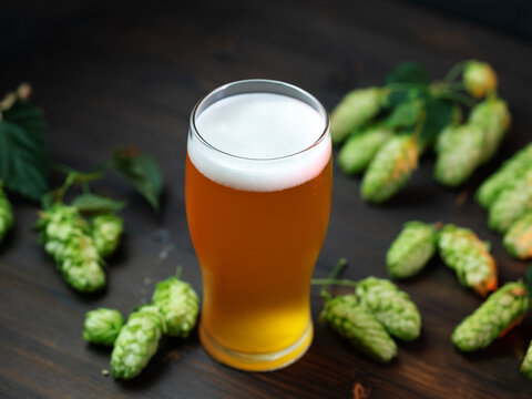 Craft beer ipa on a wooden table, fresh green hops
