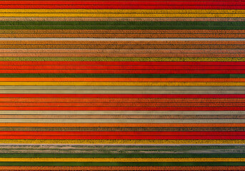 Colorful horizontal stripes abstract pattern