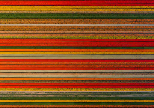 Colorful horizontal stripes abstract pattern