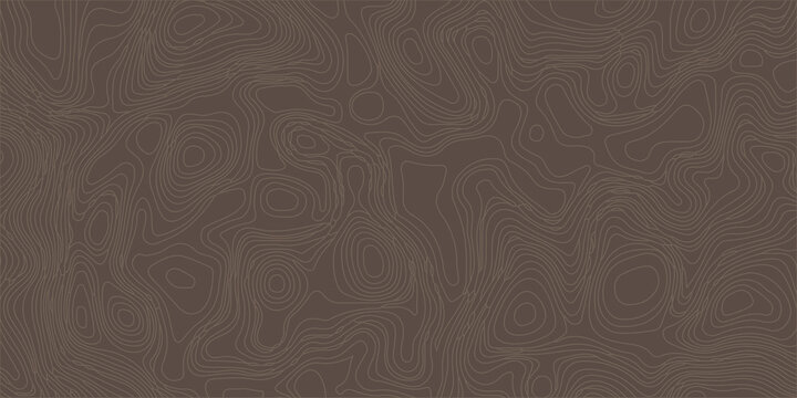 Brown abstract topographic map background with fine concentric line patterns mimicking natural wood grain or terrain. topographic contour lines, geographical maps, seamless abstract background, topo