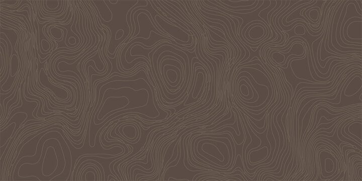 Brown abstract topographic map background with fine concentric line patterns mimicking natural wood grain or terrain. topographic contour lines, geographical maps, seamless abstract background, topo
