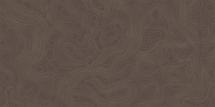 Brown abstract topographic map background with fine concentric line patterns mimicking natural wood grain or terrain. topographic contour lines, geographical maps, seamless abstract background, topo