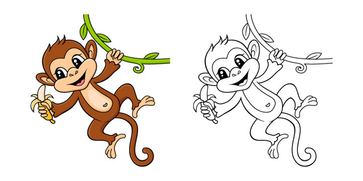 Cute little monkey with banana hanging on vine. Black and white illustration for coloring book with example in color