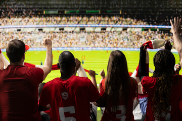 Obraz premium Soccer fans in red shirts watching football match, seen from behind.
