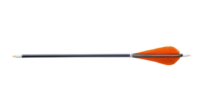 Isolated professional hunting or target archery arrow with orange feather fletching and black shaft