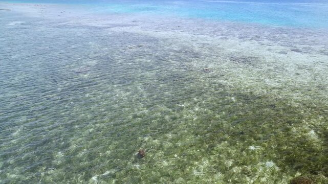 Transparent Tropical Seawater with Visible Seabed Texture &ndash; 4K Stock Video