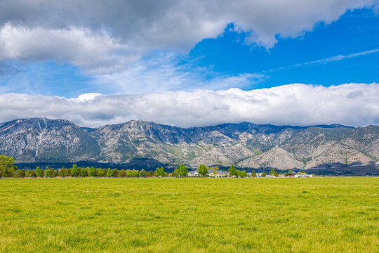 A vibrant green agricultural field in Carson Valley near Genoa, Nevada, looking toward the dramatic, snow-dusted Sierra Nevada range