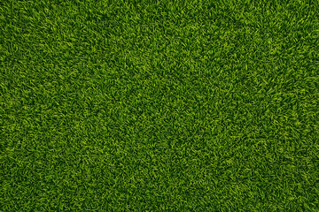 Obraz premium green grass field texture background natural outdoor surface