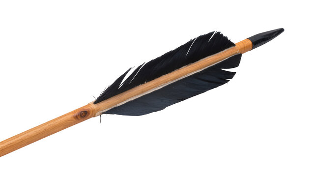 Isolated traditional wooden arrow with black feather fletching and sharp dark arrowhead