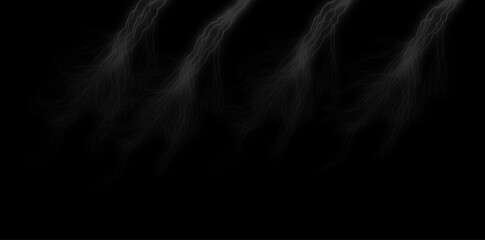 Fototapeta premium Abstract smoke wisps on black background for creative design