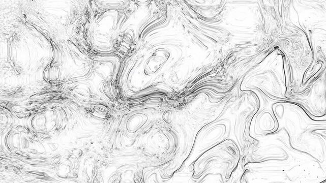 Black and White Paint Organic Pattern Texture Background