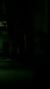 A narrow alley in a city at night shows faint light filtering through nearby trees. Shadows cover most of the area and create a mysterious atmosphere.