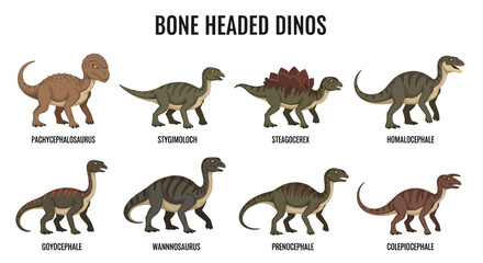 Chart illustrating eight different types of boneheaded dinosaurs with names © Fauzan Adzima