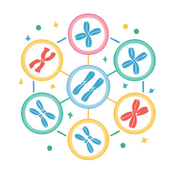 Illustration of various chromosomes in a circular diagram