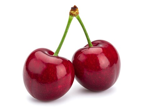 Close-up of two ripe red cherries with green stems on white background, white background