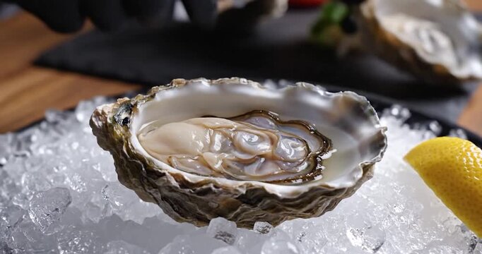 Chef wearing black gloves opening fresh oyster on crushed ice with lemon