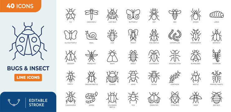 Insect icon set. Contain icons related to Insects and bugs. Editable stroke. Vector illustration