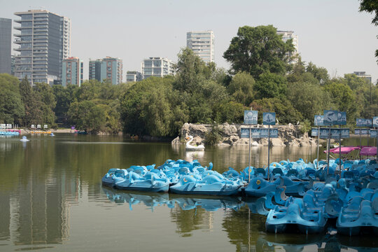 Chapultepec Lake in Mexico City. Picturesque urban lake with blue pedal boats moored along the boardwalk