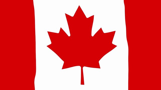 Waving Canada National Flag 2D animation loop. Flat Color Flag Animation. Perfect for Education, Sports or Travel Projects.