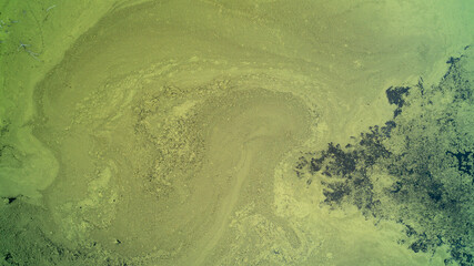 A direct top-down drone photograph looking down at a massive green algae bloom coating the surface of a stagnant pond, creating natural swirling abstract patterns and textures in the water. © Matt