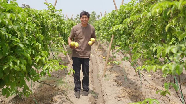 Happy peruvian farmer showing fresh passion fruit harvest