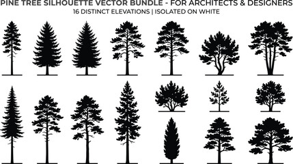 Fototapeta premium Bundle of sixteen black pine tree silhouettes with varied elevations and canopy structures for architectural, landscape, and design projects