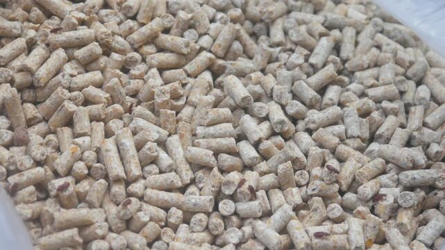 piles of dry pellet shaped animal feed contaminated by small beetle type insects