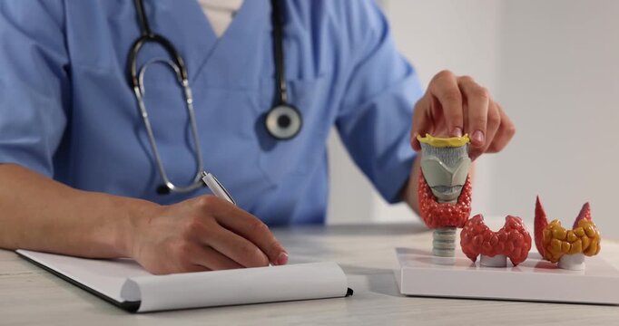 Endocrinologist demonstrating models of thyroid glands and writing on clipboard at grey wooden table in clinic, closeup