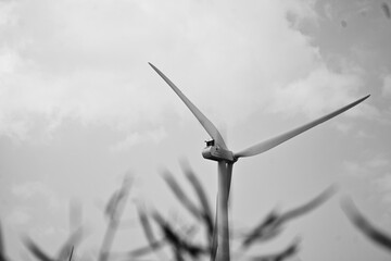 wind turbine at sunset © akrammenari